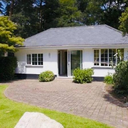Chadham Pines Cottage Poole Εξωτερικό φωτογραφία